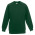 Толстовка дитяча 620390 CLASSIC RAGLAN SWEAT KIDS, колір 38 - 62-039-0-38