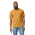 Футболка чоловіча 65000 Midweight Adult T-Shirt, колір mustard - 65000-mustard